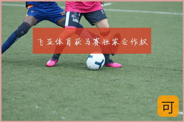 飞亚体育获马赛独家合作权